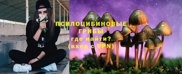 мескалин Балахна